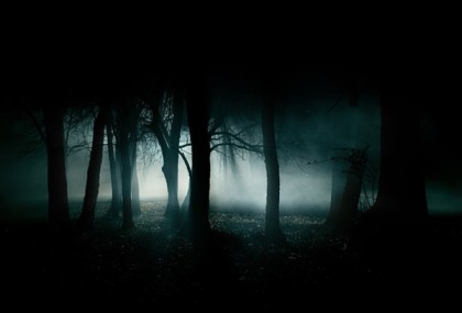 Spooky-forest