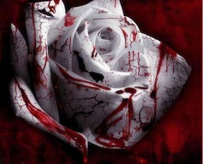 blood_rose