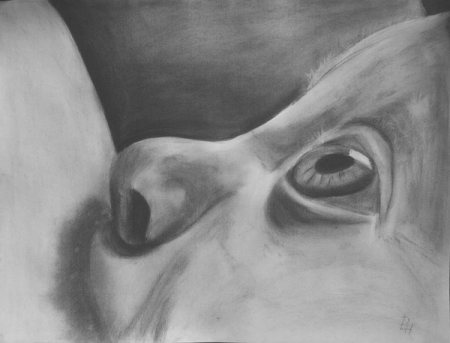 Βλέμμα θεϊκό